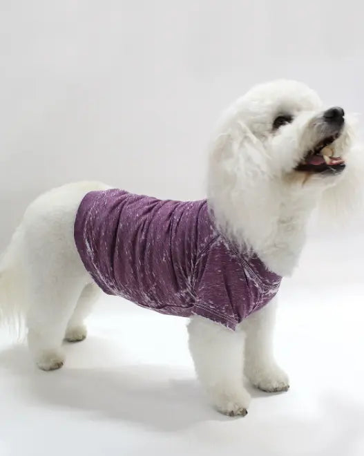 Doggy Tee COIN1804
