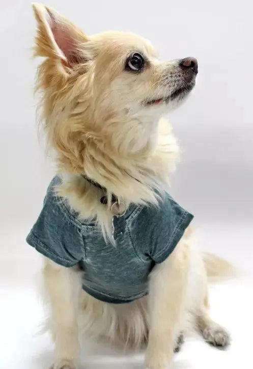 Doggy Tee COIN1804
