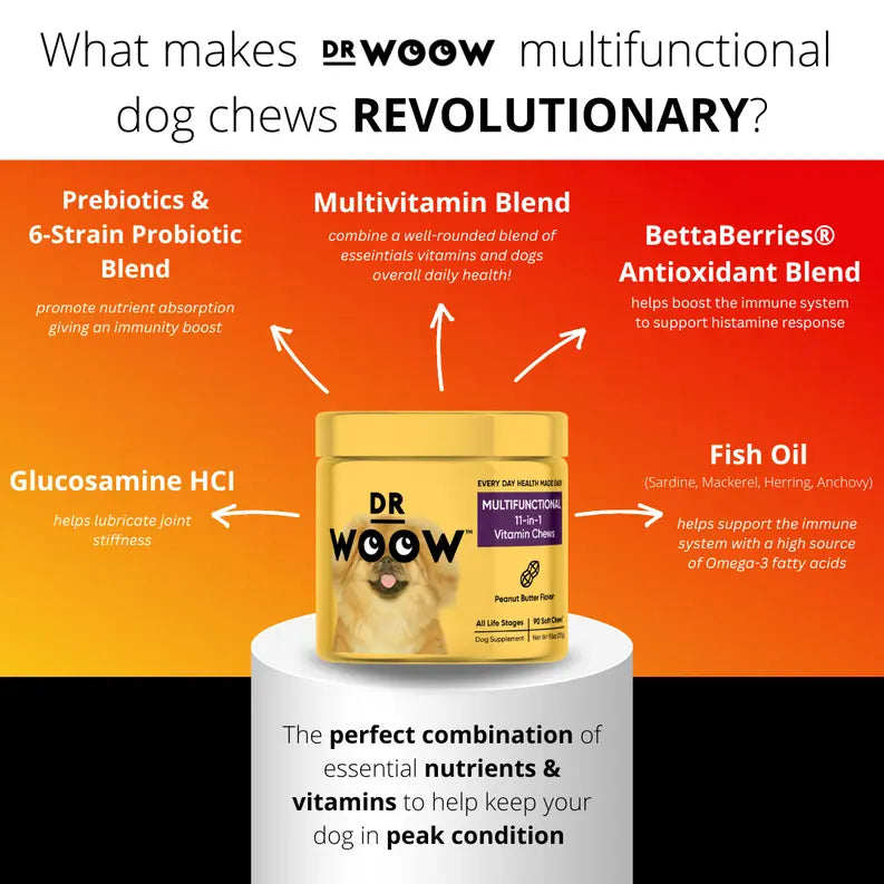 Dr Woow Multifunctional 11-in-1 vitamin chews DR WOOW