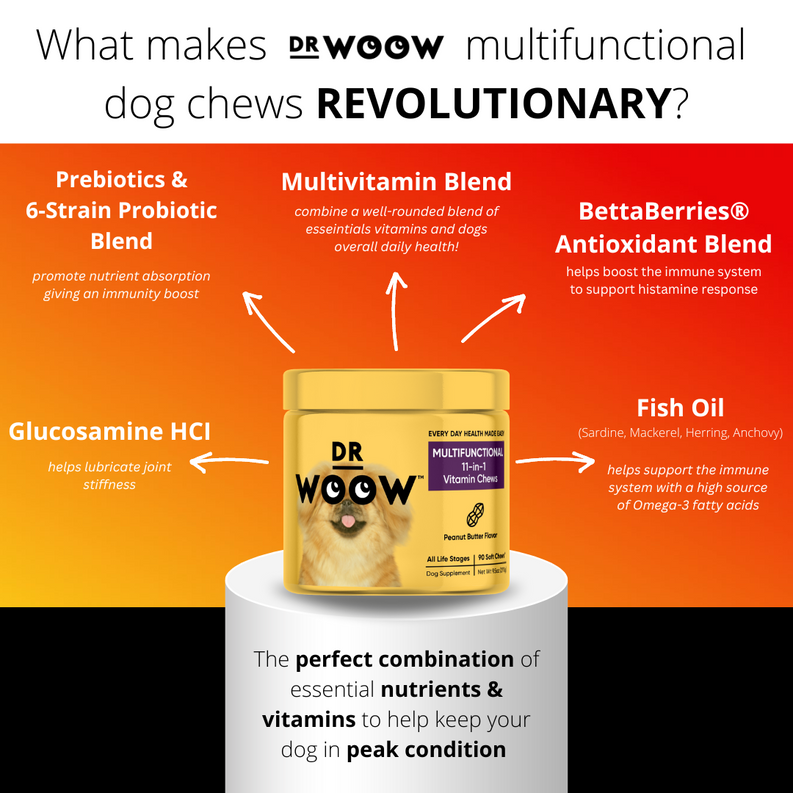 Dr Woow Multifunctional 11-in-1 vitamin chews DR WOOW