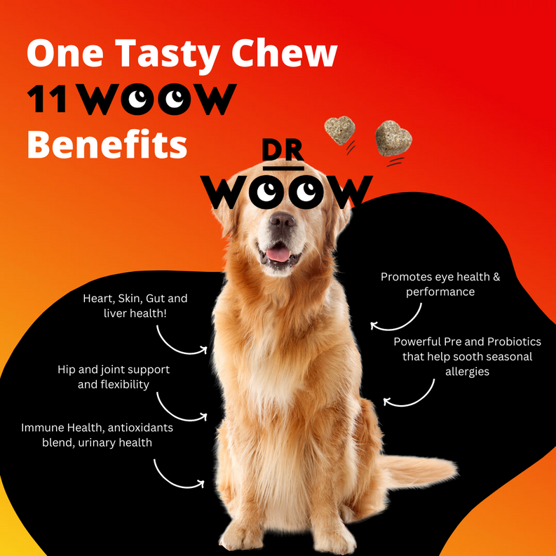 Dr Woow Multifunctional 11-in-1 vitamin chews DR WOOW