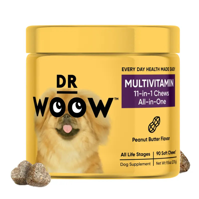 Dr Woow Multifunctional 11-in-1 vitamin chews DR WOOW