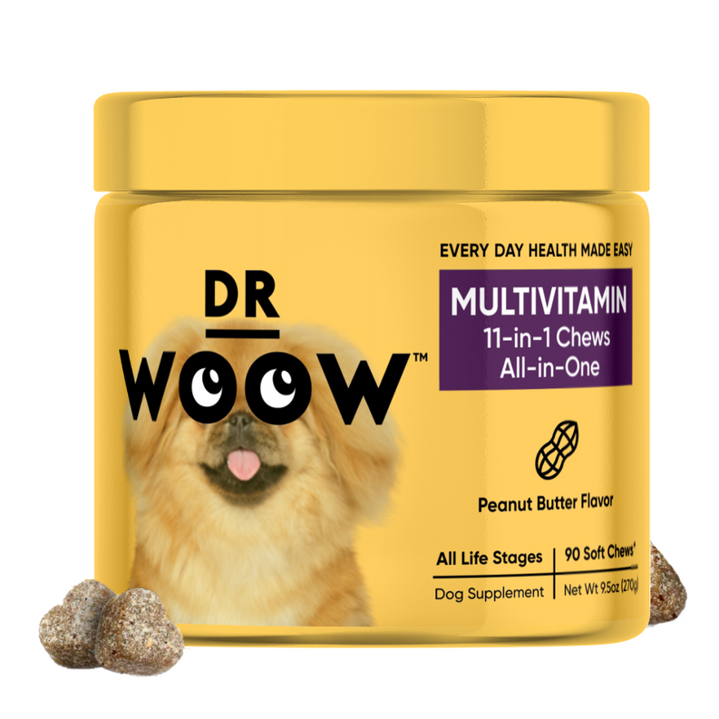 Dr Woow Multifunctional 11-in-1 vitamin chews DR WOOW