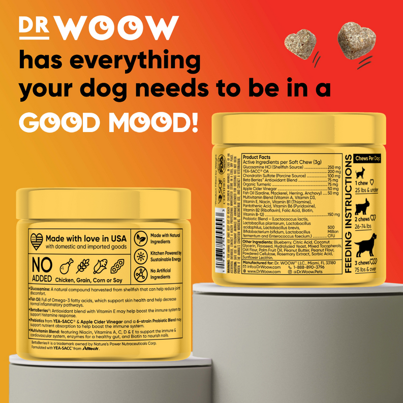 Dr Woow Multifunctional 11-in-1 vitamin chews DR WOOW