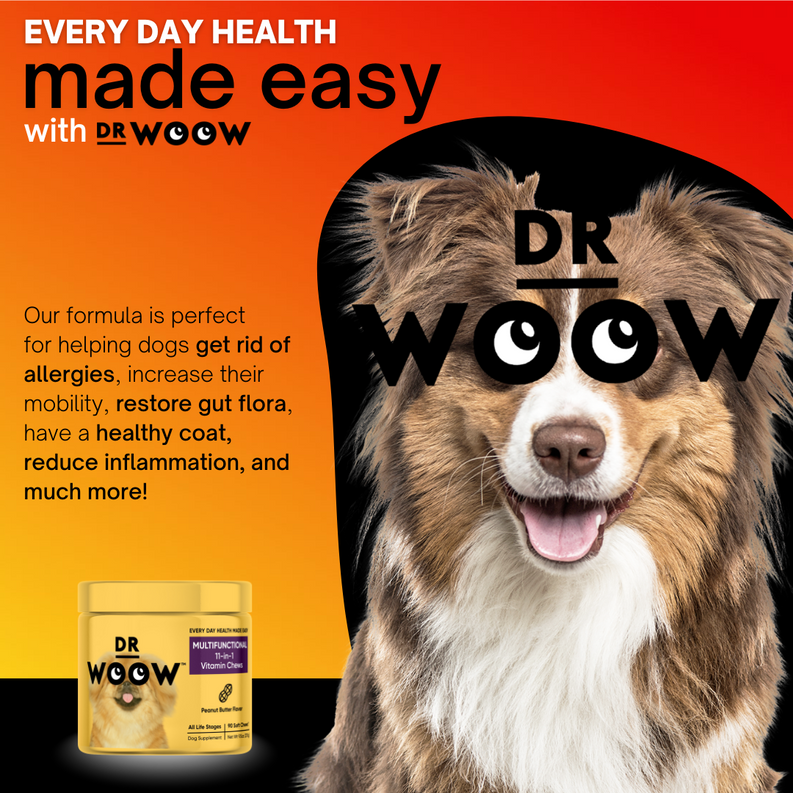 Dr Woow Multifunctional 11-in-1 vitamin chews DR WOOW