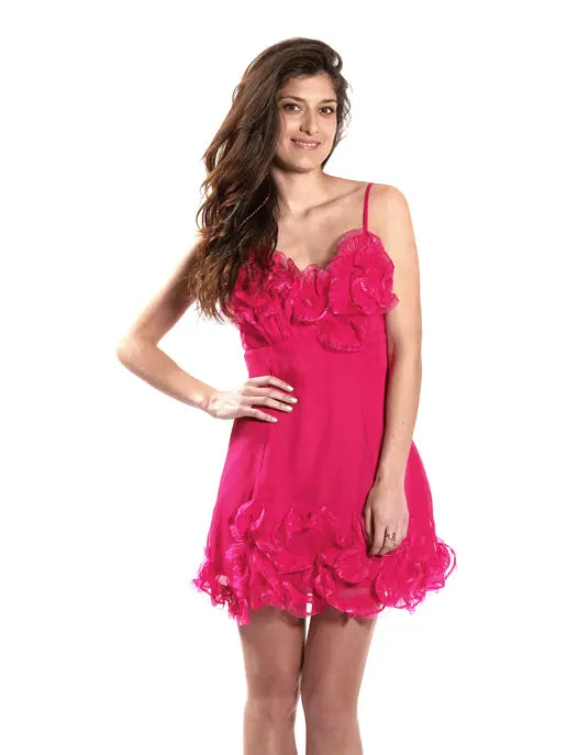 Dress Fuchsia Raul E New York
