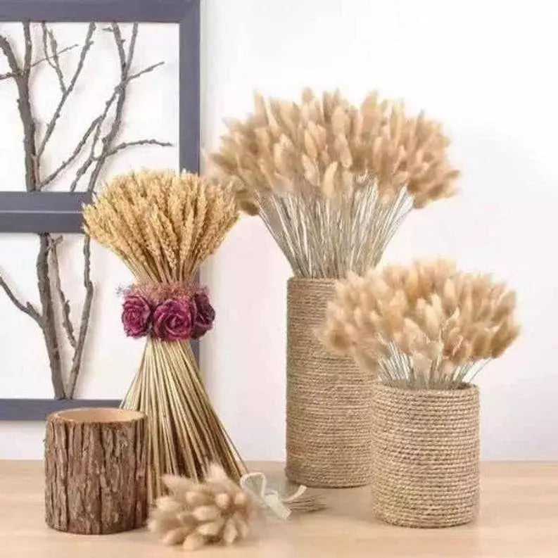 Dried Bunny Tail, floral décor Delmar Décor