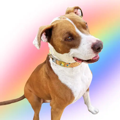 Dusk Rainbow Diamond Charm DIPHDA