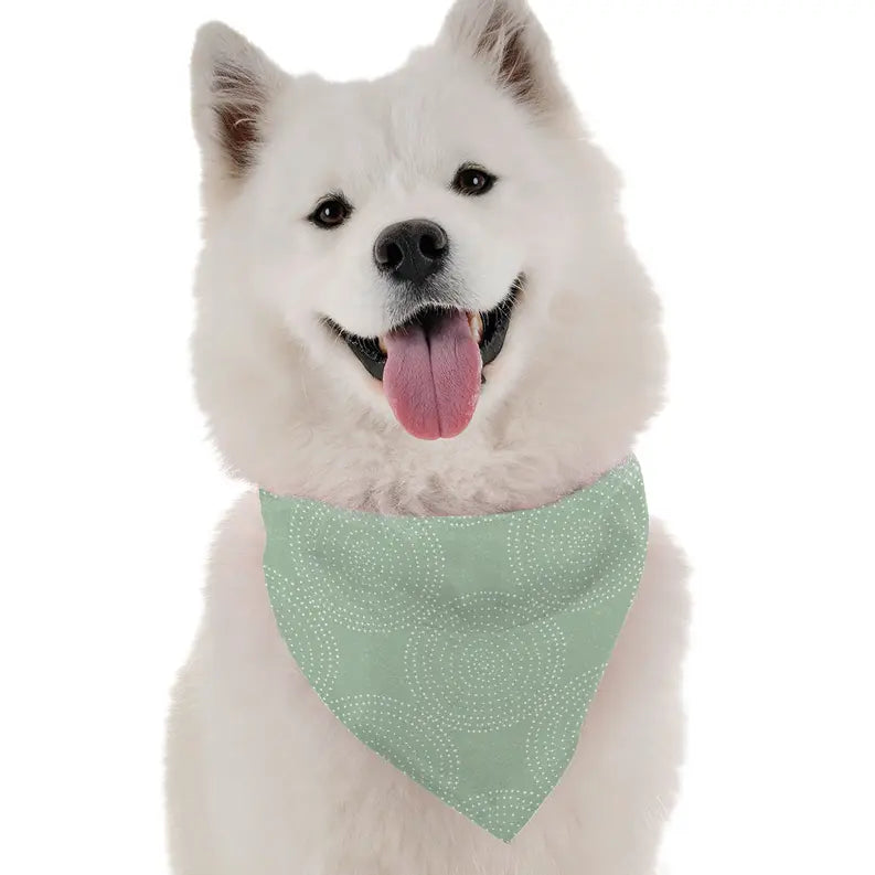 Eden Bandoggies