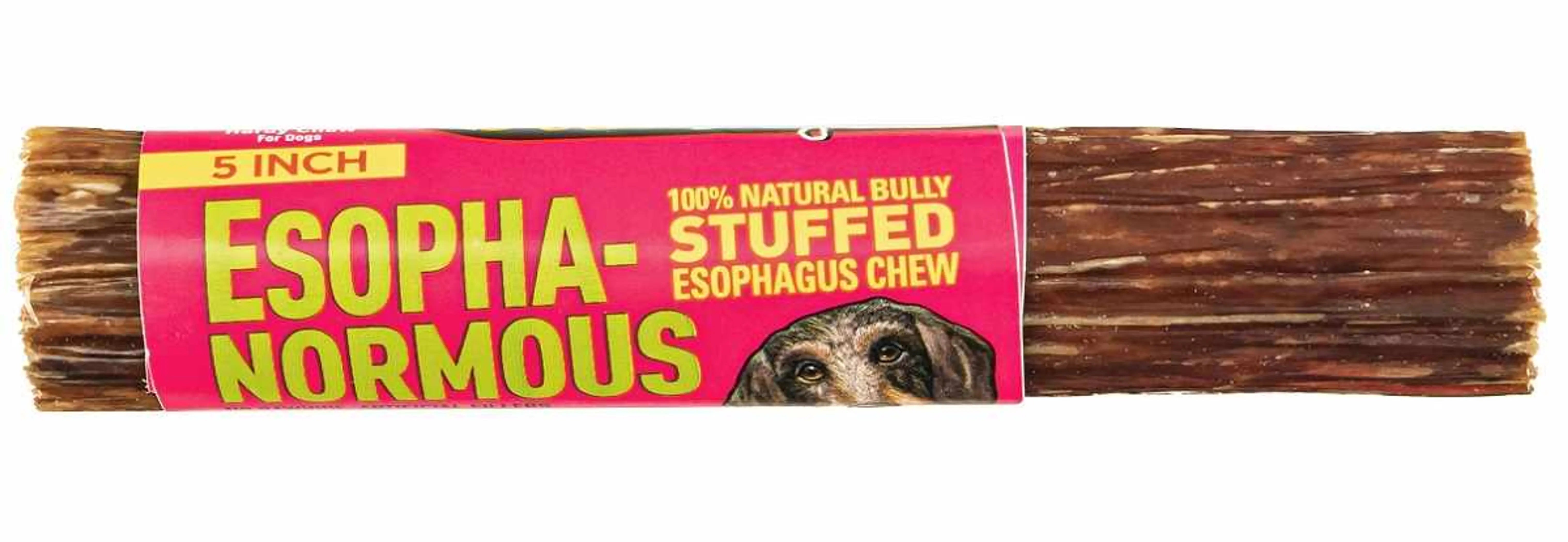 Etta Says! Esopha-normous Bully Stuffed Esophagus Chew 5in 20ct Bag Etta Says!