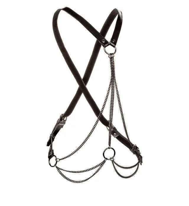 Euphoria Multi Chain Harness California Exotic Novelties