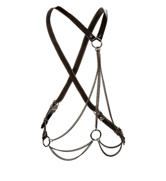 Euphoria Multi Chain Harness California Exotic Novelties