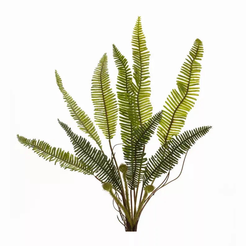 Fern Plant (Set of 6) 17.5"H Plastic Melrose Intl.