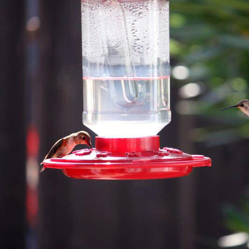 First Nature 32oz. Hummingbird Feeder FIRSTNATURE