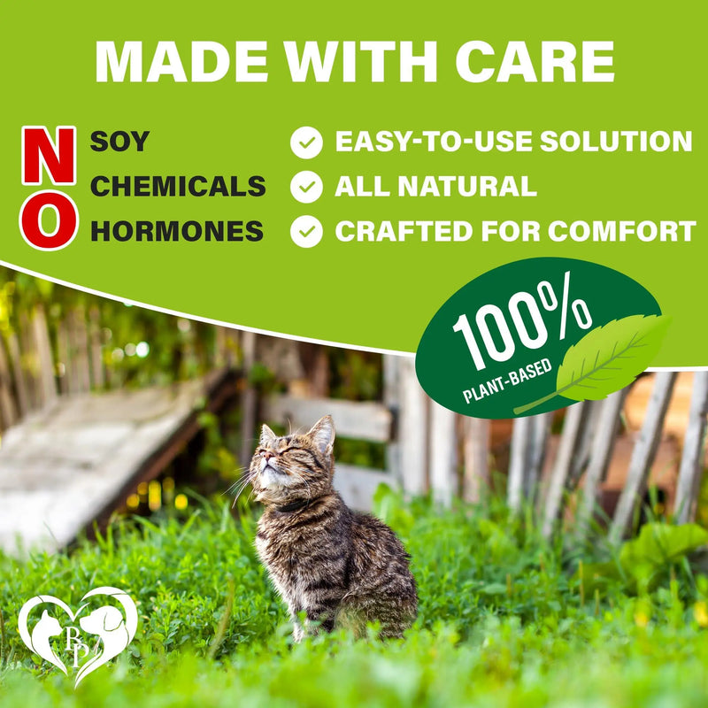 Flea and Tick Prevention Chewable Pills for Cats   Revolution Oral Flea Treatment for Pets   Pest Control & Natural Defense   Chewables Small Tablets Made in USA (Salmon Fish (for Cats)) Beloved Pets