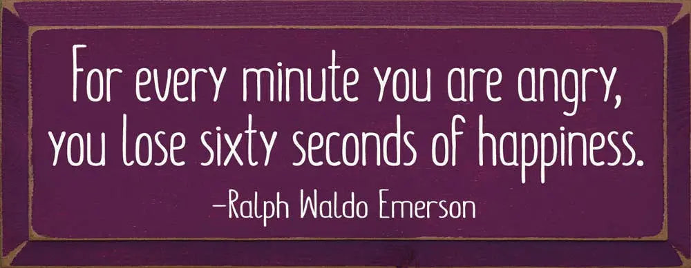 For Every  Minute You Are Angry, You Lose Sixty Seconds... Sawdust City