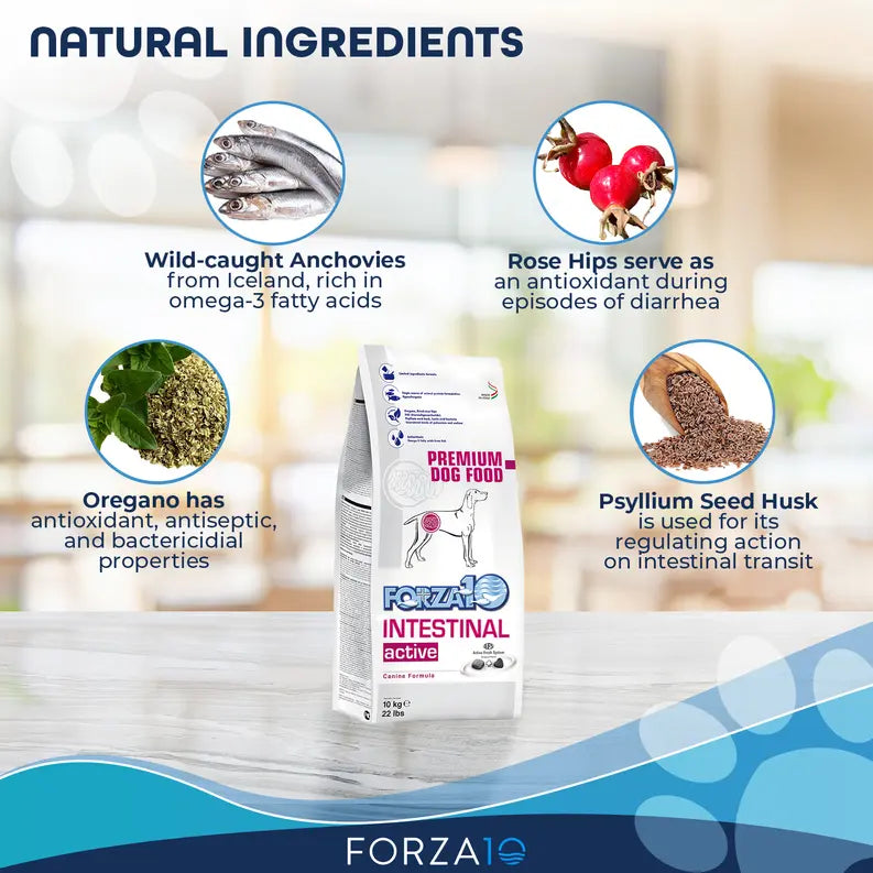 Forza10 Active Intestinal Support Diet Dry Dog Food Forza10