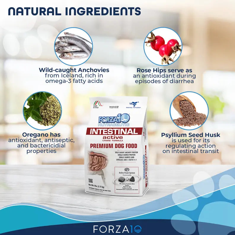 Forza10 Active Intestinal Support Diet Dry Dog Food Forza10