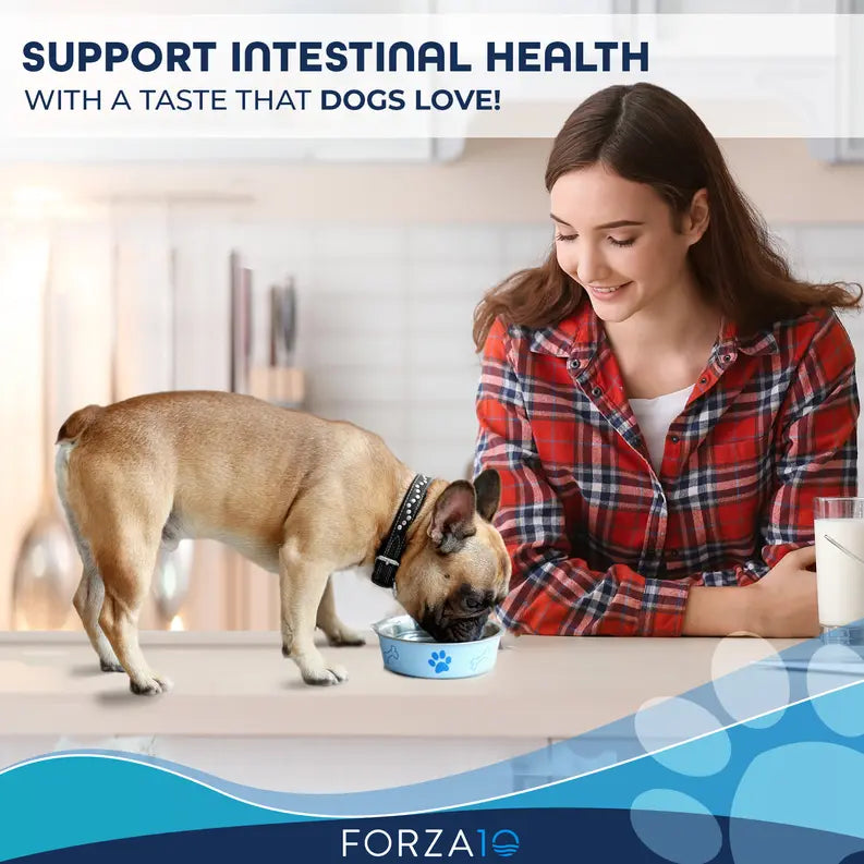 Forza10 Active Intestinal Support Diet Dry Dog Food Forza10