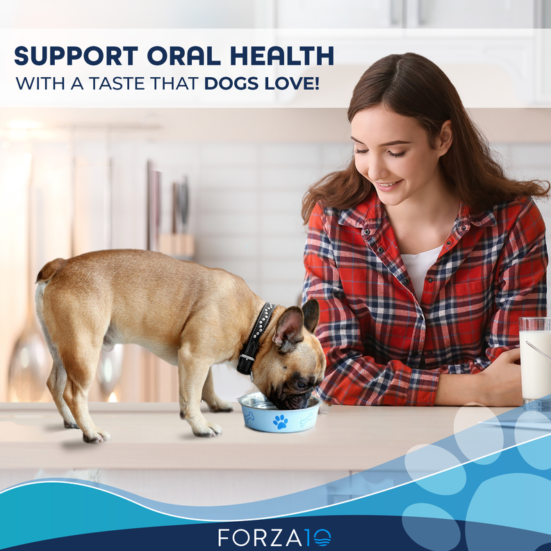 Forza10 Active Oral Support Diet Dry Dog Food Forza10