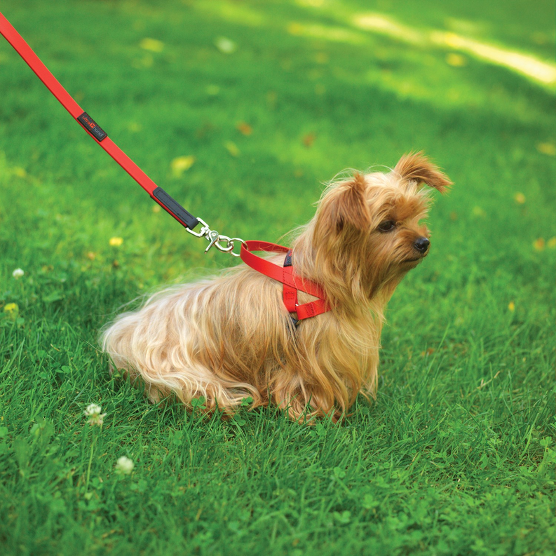 Freedom Harness Ultrahund