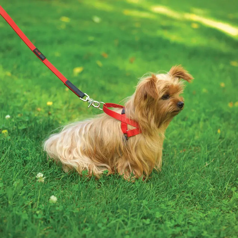 Freedom Harness Ultrahund