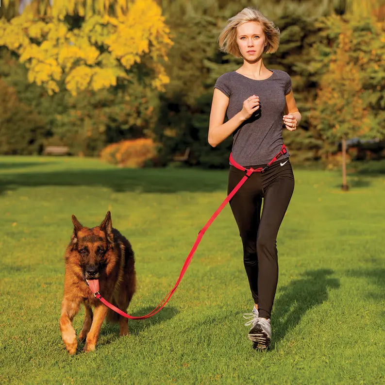Freedom Harness Ultrahund
