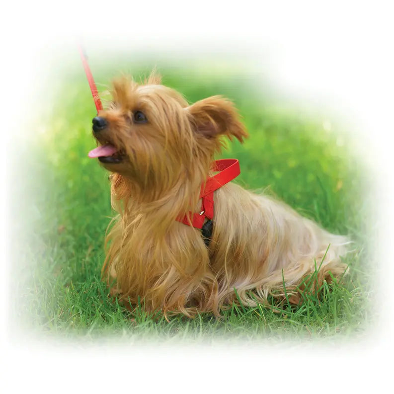 Freedom Harness Ultrahund