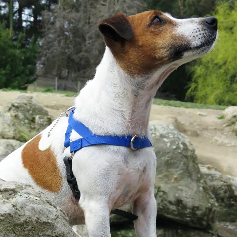 Freedom Harness Ultrahund
