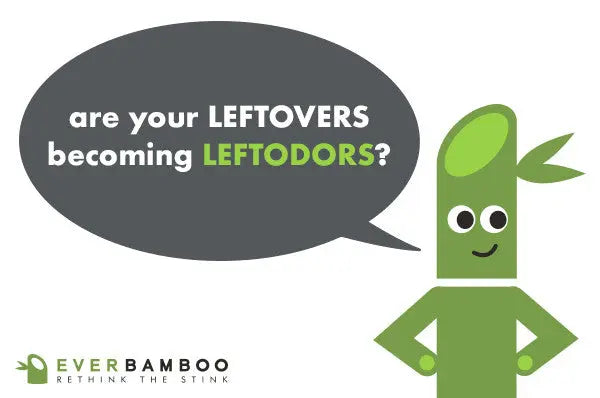 Fridge + Freezer Deodorizer Ever Bamboo