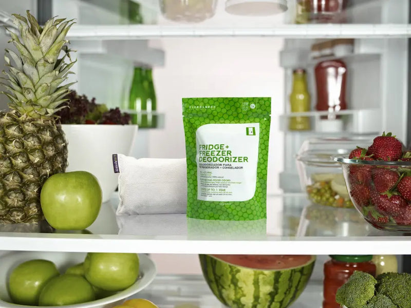 Fridge + Freezer Deodorizer Ever Bamboo