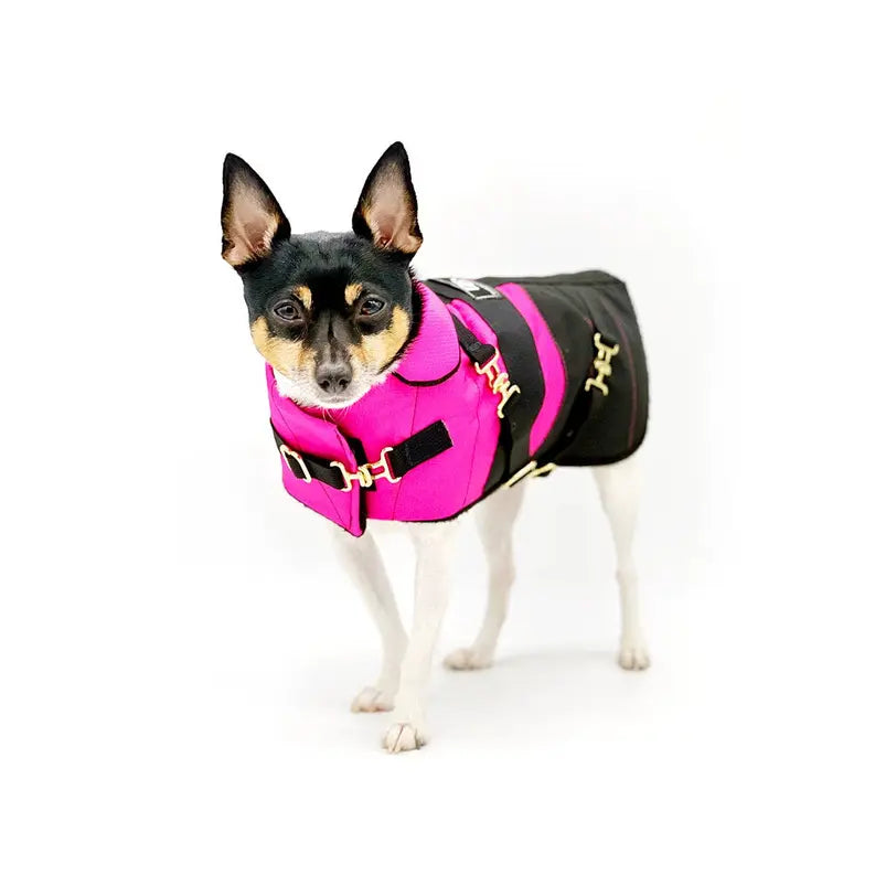 "Fun with Fuschia" - DCNY Equestrian Collection DoggieCoutureNY