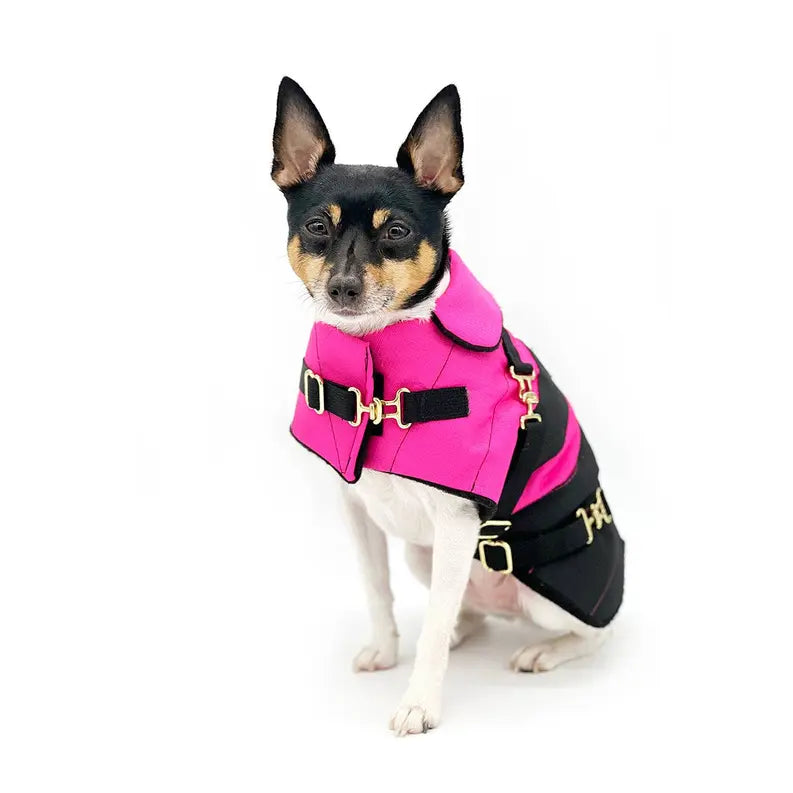 "Fun with Fuschia" - DCNY Equestrian Collection DoggieCoutureNY