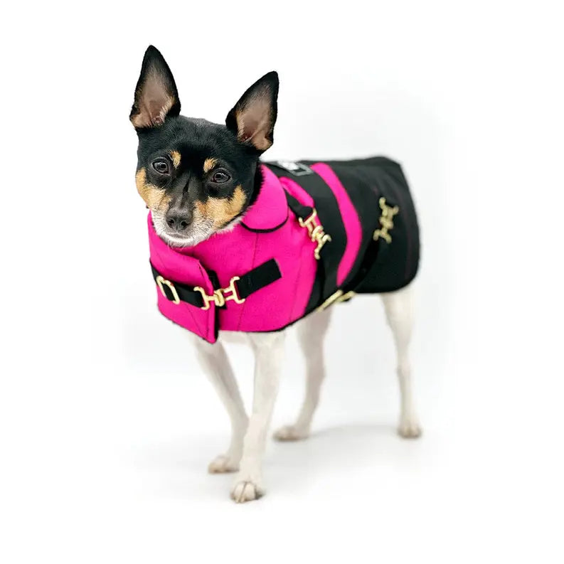 "Fun with Fuschia" - DCNY Equestrian Collection DoggieCoutureNY