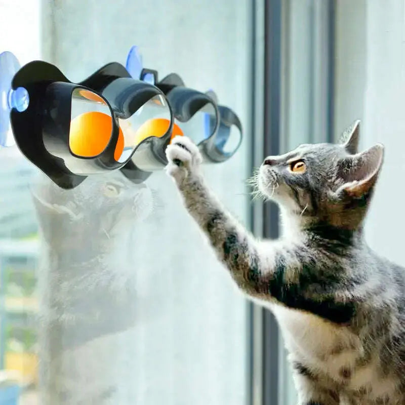 Funny-Pet-Educational-Toys-Plastic-Sucker-Window-Table-Tennis-Adsorption-Glass-Cat-Interactive-Track-Ball-Toy-Kitten-Accessories-GreatEagleInc-334133189