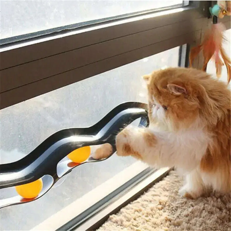 Funny-Pet-Educational-Toys-Plastic-Sucker-Window-Table-Tennis-Adsorption-Glass-Cat-Interactive-Track-Ball-Toy-Kitten-Accessories-GreatEagleInc-334133331