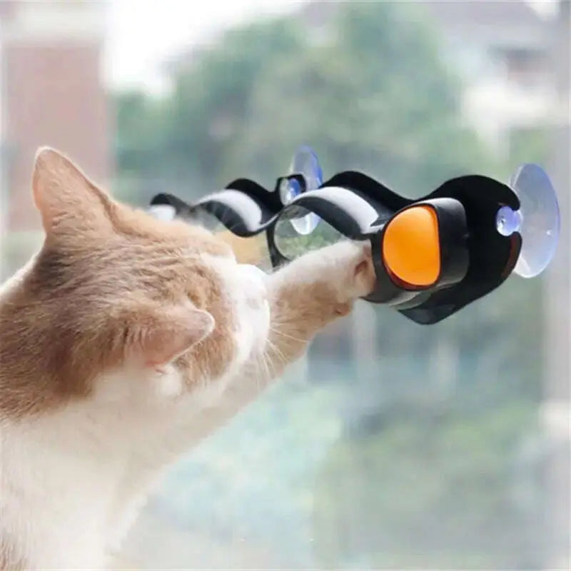 Funny-Pet-Educational-Toys-Plastic-Sucker-Window-Table-Tennis-Adsorption-Glass-Cat-Interactive-Track-Ball-Toy-Kitten-Accessories-GreatEagleInc-334133455