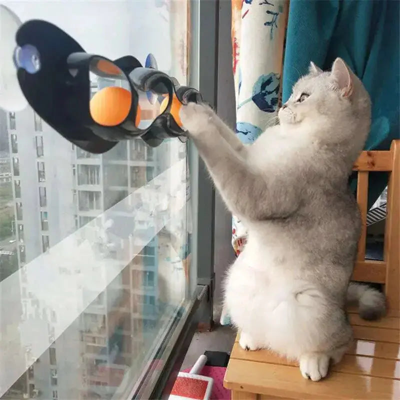 Funny-Pet-Educational-Toys-Plastic-Sucker-Window-Table-Tennis-Adsorption-Glass-Cat-Interactive-Track-Ball-Toy-Kitten-Accessories-GreatEagleInc-334133530