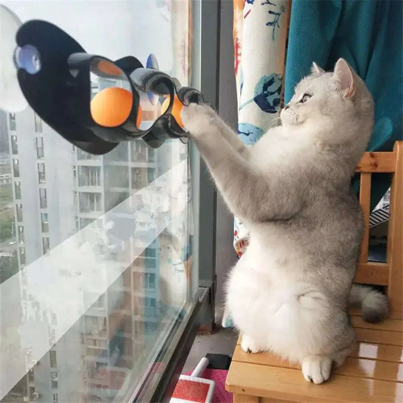 Funny-Pet-Educational-Toys-Plastic-Sucker-Window-Table-Tennis-Adsorption-Glass-Cat-Interactive-Track-Ball-Toy-Kitten-Accessories-GreatEagleInc-334150549
