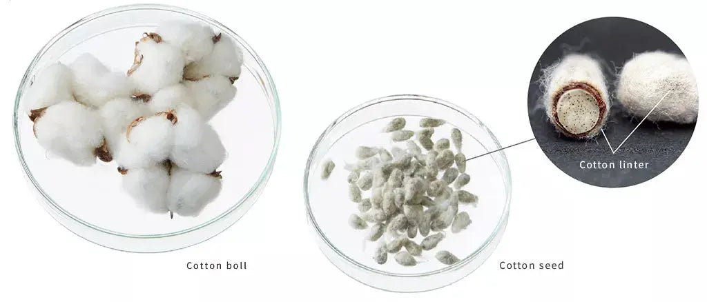 Future Fresh Smooth Out Ultra-Soft Cotton Linter Bemliese Sheet Mask - Simply When When Beauty