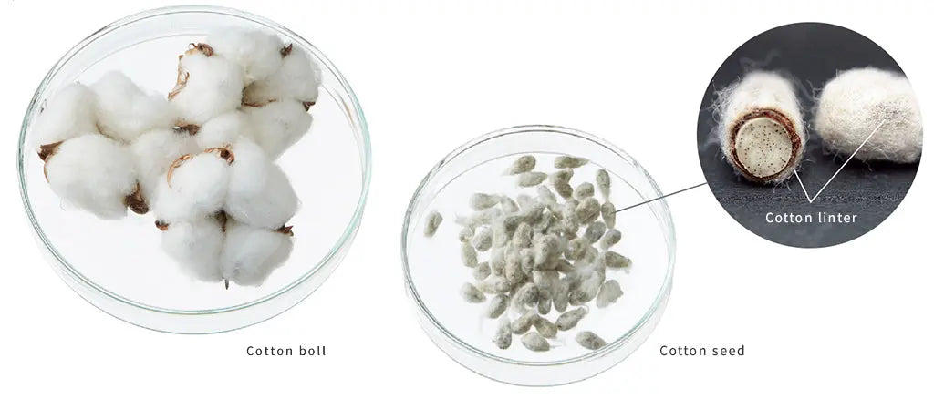 Future Fresh Smooth Out Ultra-Soft Cotton Linter Bemliese Sheet Mask - Simply When When Beauty