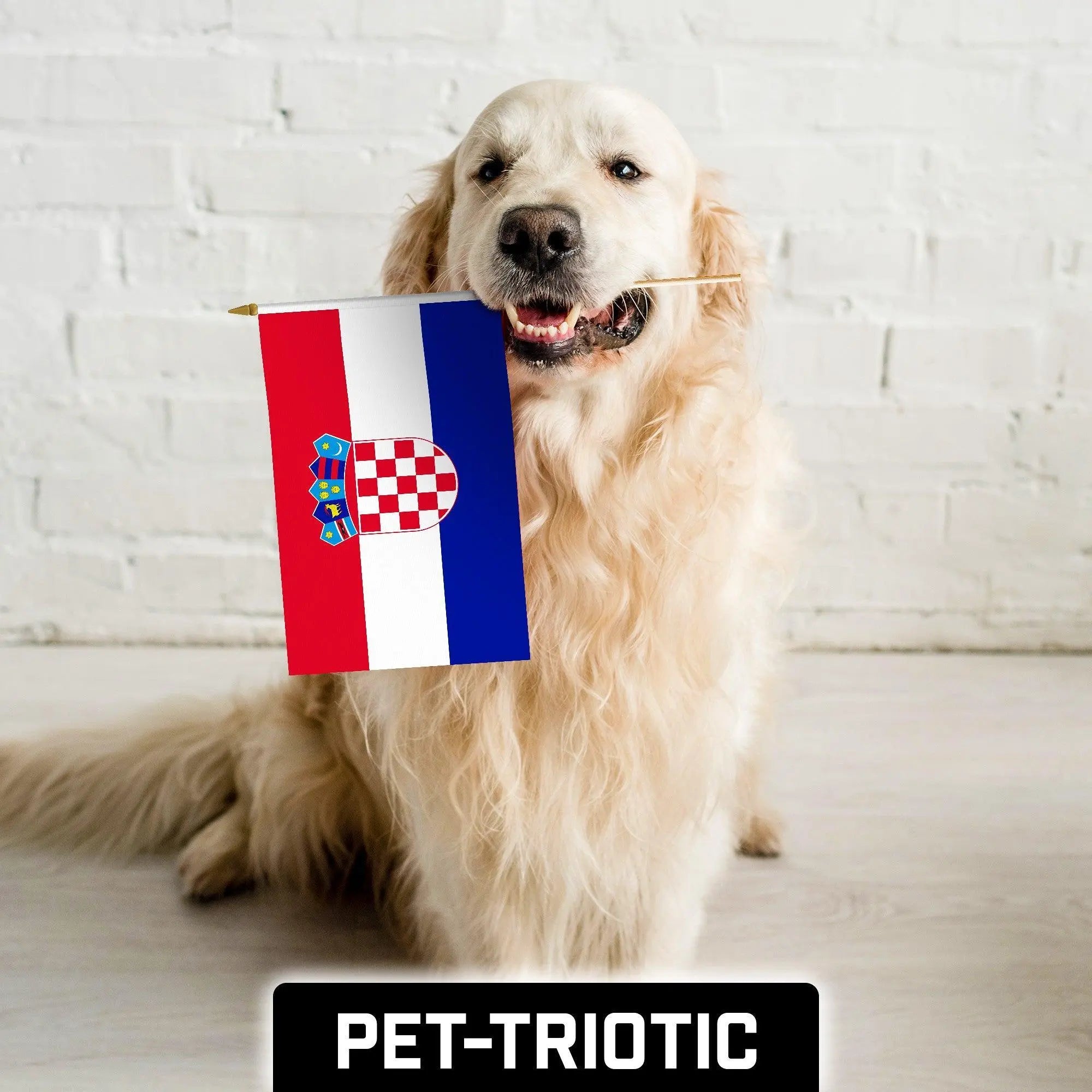 G128 12 Pack Handheld Croatia Croatian Stick Flags | 12x18 In | Printed 150D Polyester, Country Flag, Solid Wooden Stick, Spear Gold Tip G128