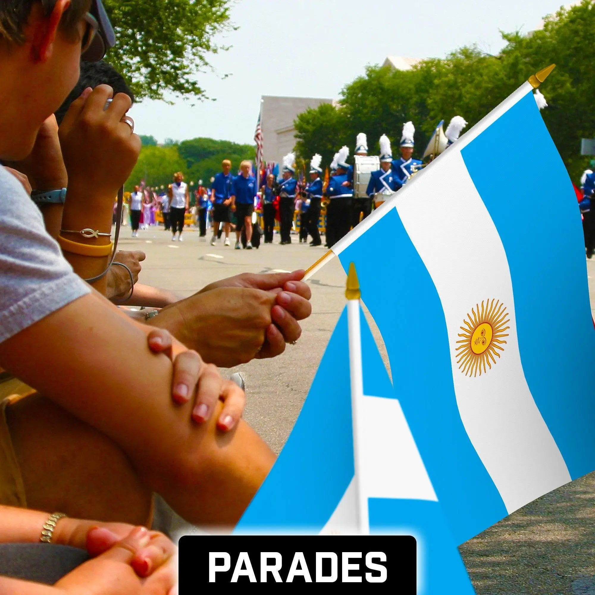 G128 50 Pack Handheld Argentina Argentinian Stick Flags | 12x18 In | Printed 150D Polyester, Country Flag, Solid Wooden Stick, Spear Gold Tip G128