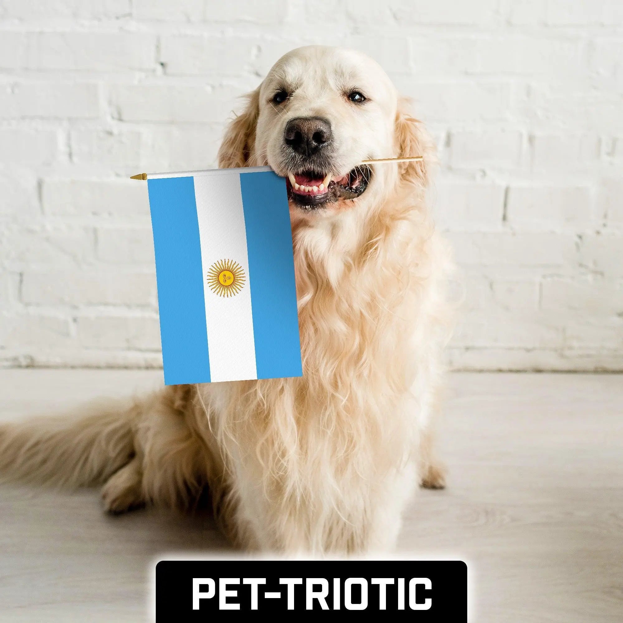 G128 50 Pack Handheld Argentina Argentinian Stick Flags | 12x18 In | Printed 150D Polyester, Country Flag, Solid Wooden Stick, Spear Gold Tip G128