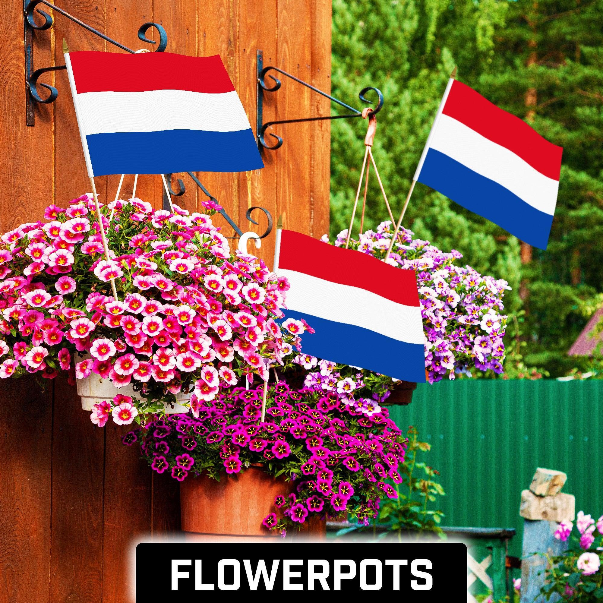 G128 50 Pack Handheld Netherlands Dutch Stick Flags | 12x18 In | Printed 150D Polyester, Country Flag, Solid Wooden Stick, Spear Gold Tip G128