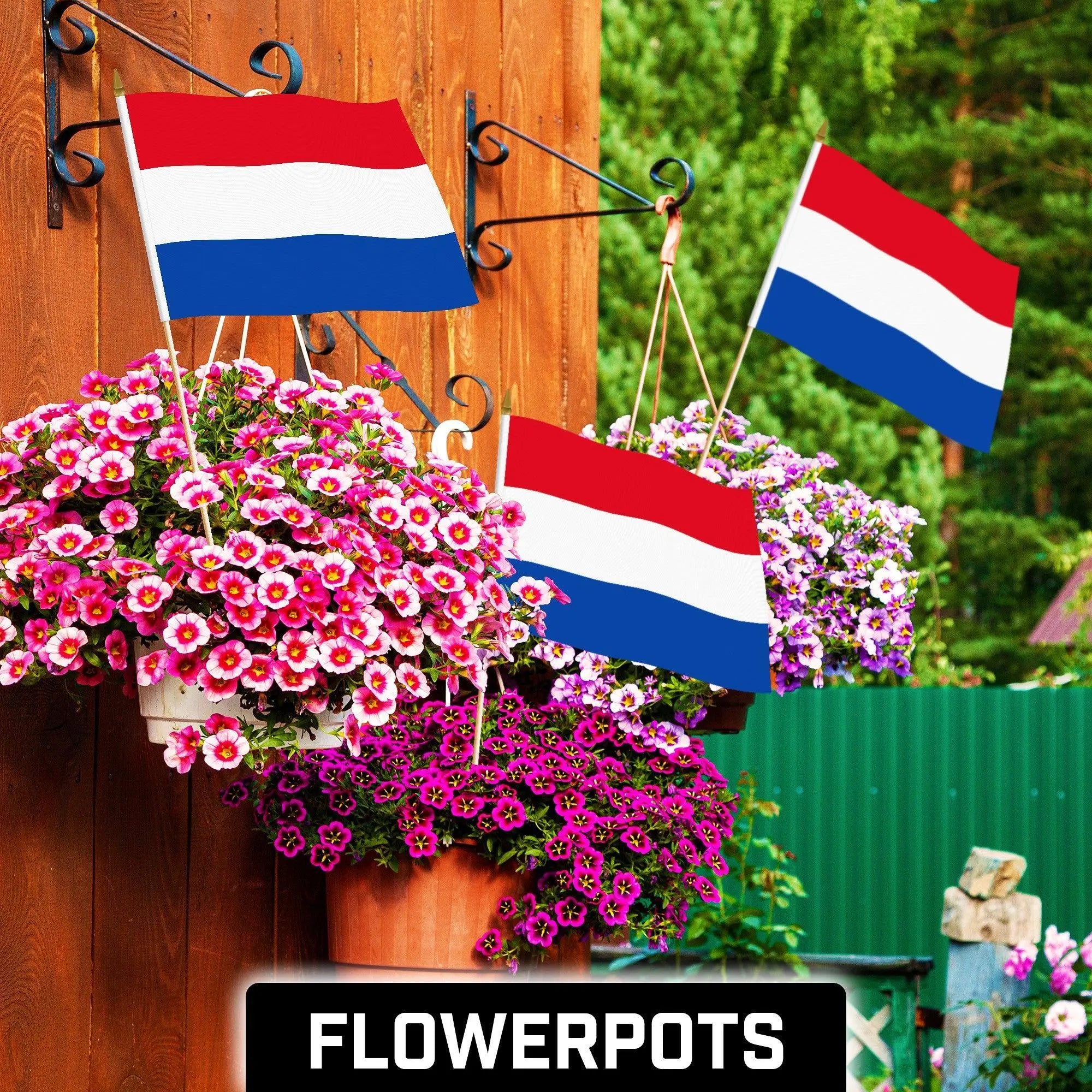 G128 50 Pack Handheld Netherlands Dutch Stick Flags | 12x18 In | Printed 150D Polyester, Country Flag, Solid Wooden Stick, Spear Gold Tip G128