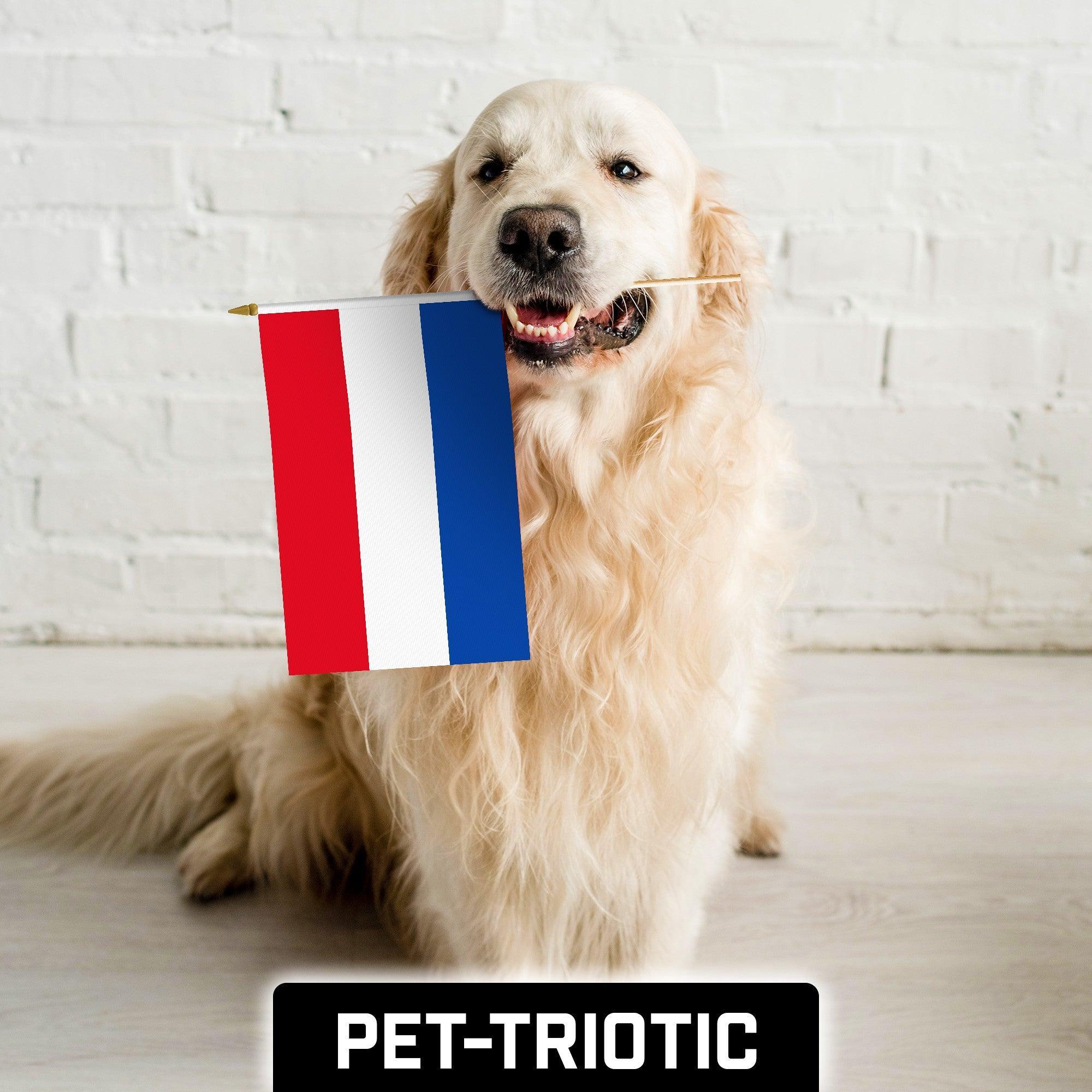 G128 50 Pack Handheld Netherlands Dutch Stick Flags | 12x18 In | Printed 150D Polyester, Country Flag, Solid Wooden Stick, Spear Gold Tip G128
