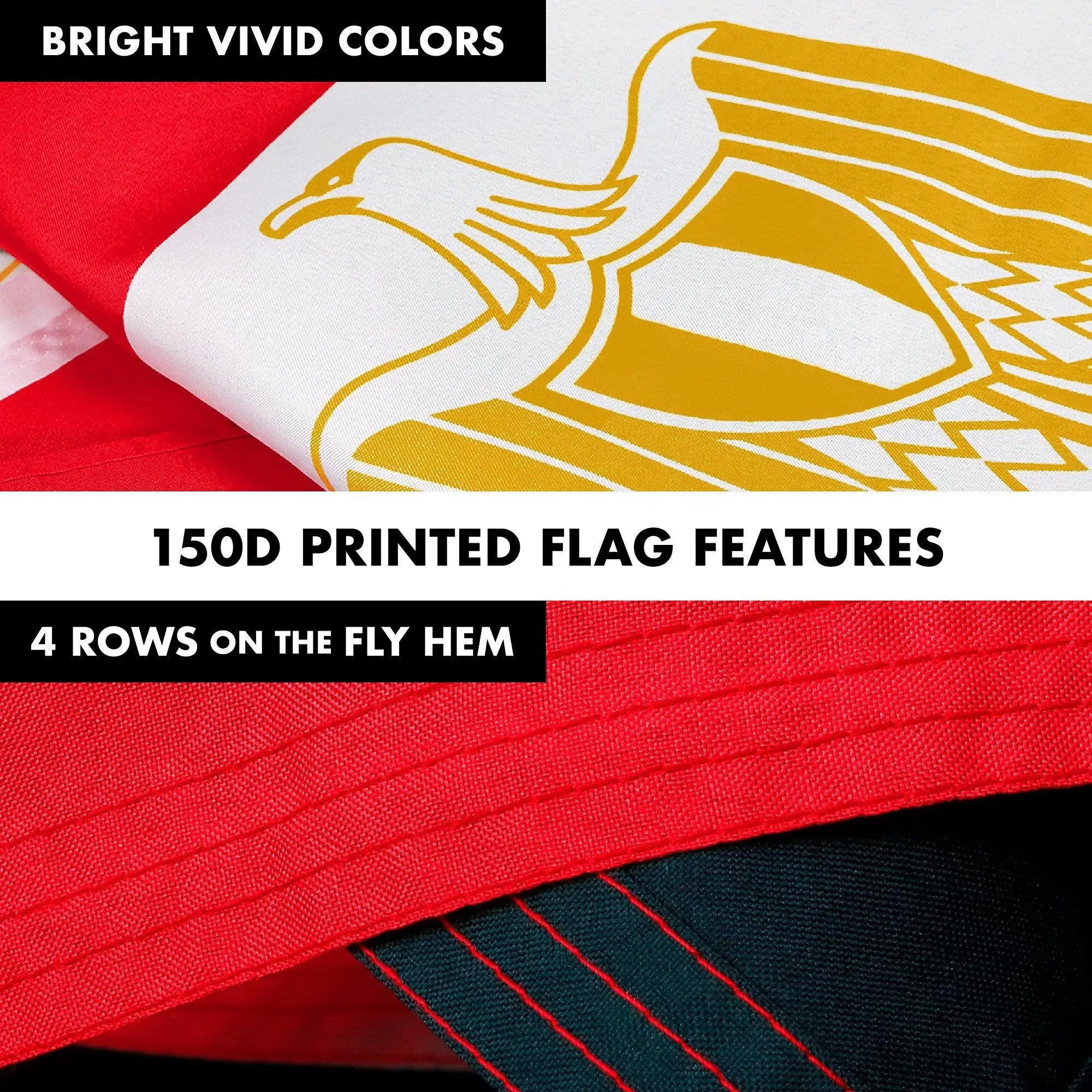 G128 Combo Pack: 6 Feet Tangle Free Spinning Flagpole (Silver) Egypt Egyptian Flag 3x5 ft Printed 150D Brass Grommets (Flag Included) Aluminum Flag Pole G128