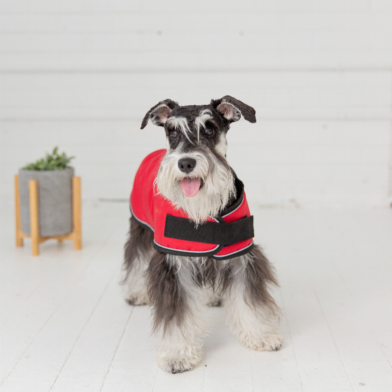 GF Pet Dog Blanket Jacket GF Pet