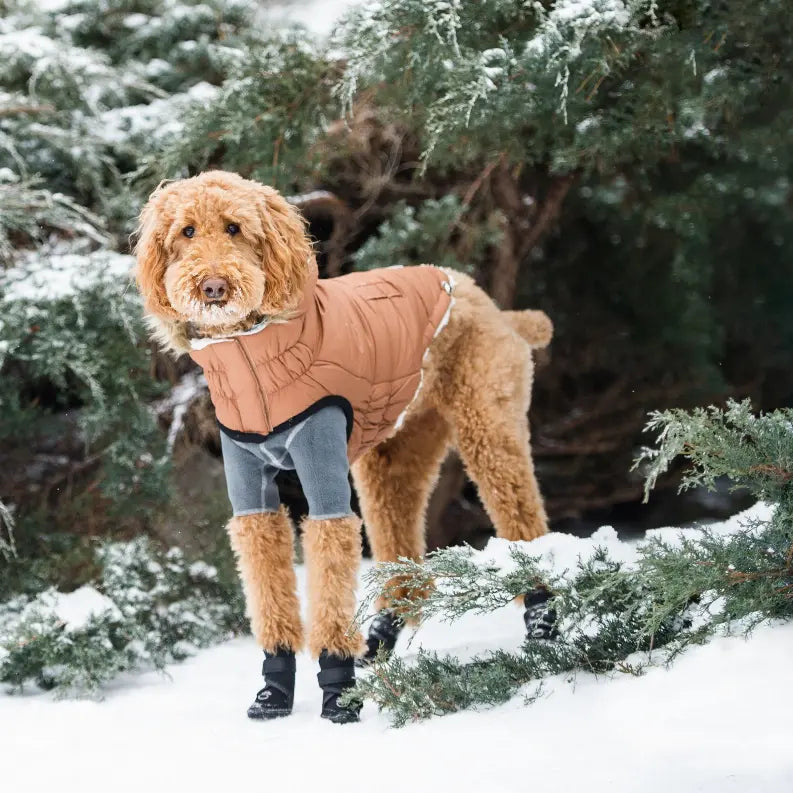 GF Pet ElastoFit Urban Dog Parka GF Pet